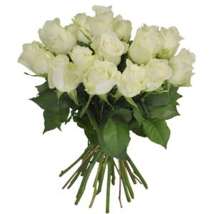 15 Rosas blancas
